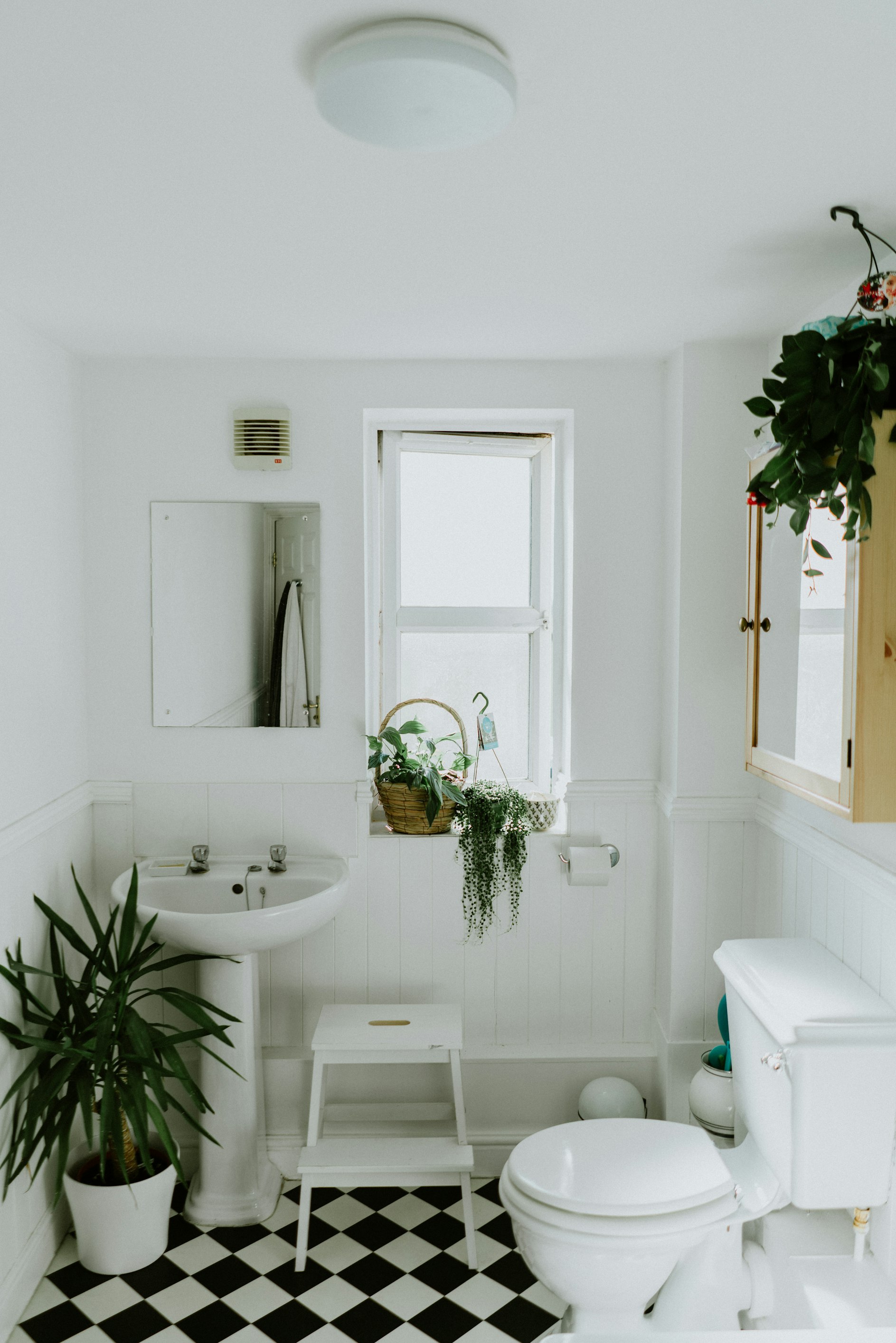 Kitchen Renovation
